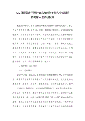 XX县领导班子运行情况及后备干部和中长期培养对象人选调研报告.docx
