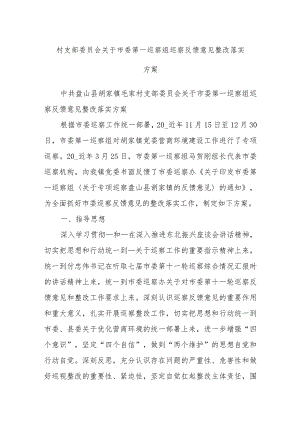 村支部委员会关于市委第一巡察组巡察反馈意见整改落实方案.docx