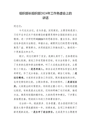 组织部长组织部 2024 年工作务虚会上的讲话.docx