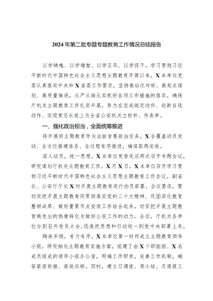 2024年第二批专题专题教育工作情况总结报告范文五篇（详细版）.docx