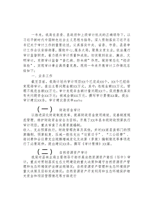 2023-年审计局年度工作总结.docx
