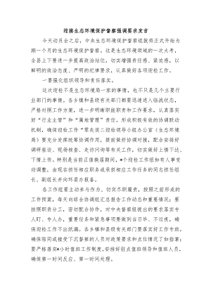 迎接生态环境保护督察强调要求发言.docx