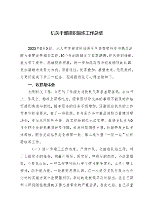 2篇 机关干部挂职锻炼工作总结+纪检干部任职表态发言.docx