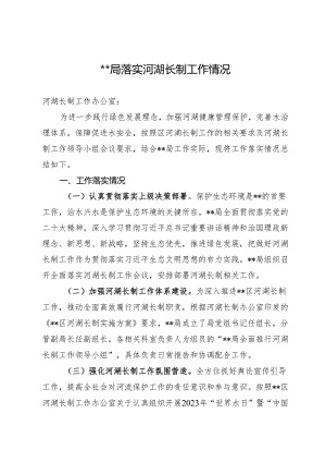 落实河湖长制工作总结.docx