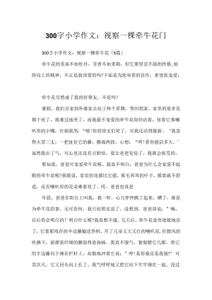 300字小学作文：观察一棵牵牛花「」.docx