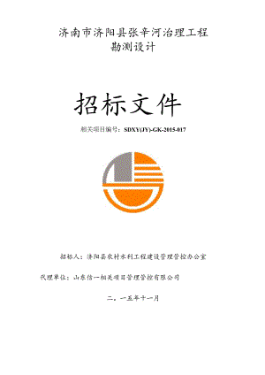 X河道清理设计招标文件.docx