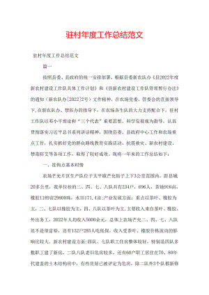 驻村年度工作总结范文.docx