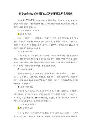 某乡镇查堵点解难题护航经济高质量发展情况报告.docx
