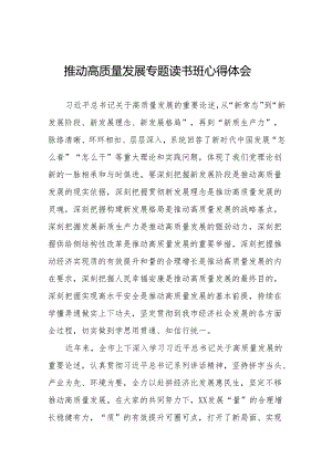 推进发展新质生产力、扎实推进高质量发展专题读书班心得体会九篇.docx