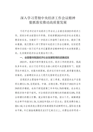 深入学习贯彻中央经济工作会议精神狠抓落实推动高质量发展.docx