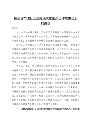 在全县2024年市域社会治理现代化试点工作推进会上的讲话.docx
