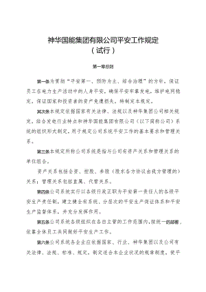 01神华国能集团有限公司安全工作规定(试行)解析.docx