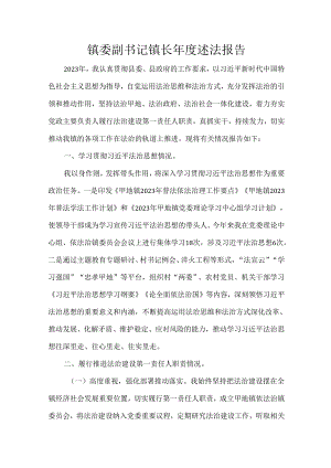 镇委副书记镇长年度述法报告.docx