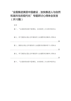 “全面推进美丽中国建设加快推进人与自然和谐共生的现代化”专题研讨心得体会发言12篇供参考.docx