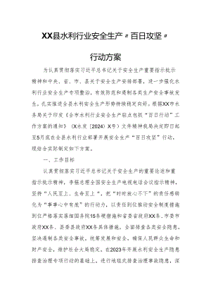 XX县水利行业安全生产“百日攻坚”行动方案.docx