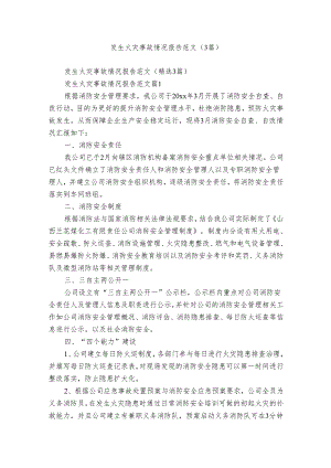 发生火灾事故情况报告范文（3篇）.docx