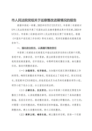 市人民法院党组关于巡察整改进展情况的报告.docx