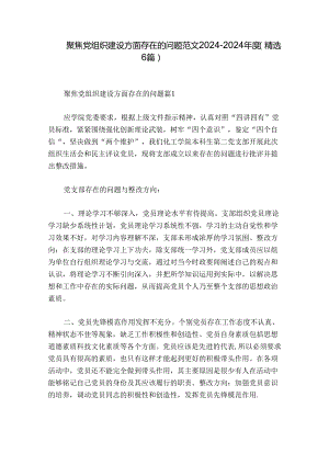 聚焦党组织建设方面存在的问题范文2024-2024年度(精选6篇).docx