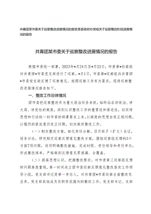 2篇 共青团某市委关于巡察整改进展情况的报告.docx
