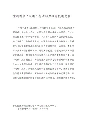 党建引领“双碳”行动 助力绿色低碳发展.docx