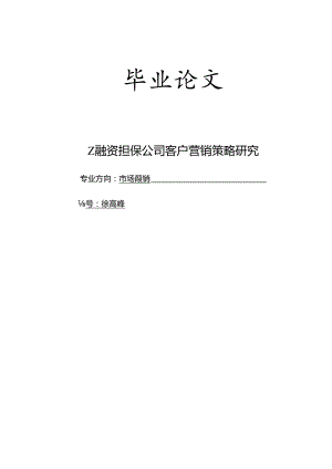 Z融资担保公司客户营销策略研究.docx