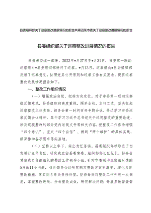2篇 2024年县委组织部关于巡察整改进展情况的报告.docx