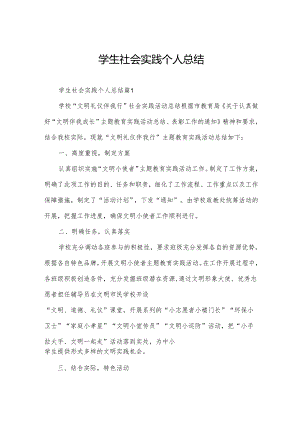 学生社会实践个人总结.docx