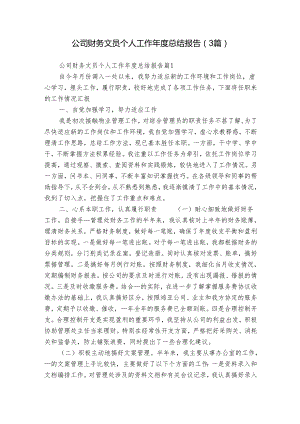 公司财务文员个人工作年度总结报告（3篇）.docx
