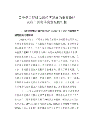 关于学习促进民营经济发展的重要论述及我市贯彻落实意见的汇报.docx