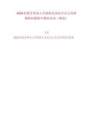 2024多措并举深入开展群众身边不正之风和腐败问题集中整治总结（精选）.docx