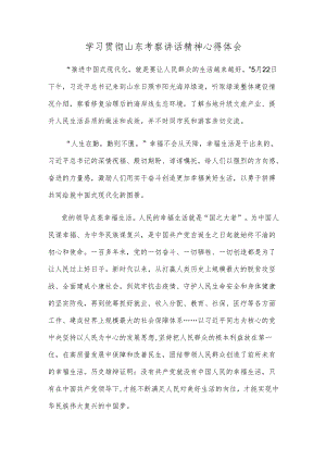 学习贯彻山东考察讲话精神心得体会.docx