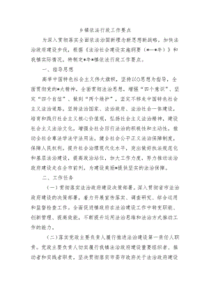 乡镇依法行政工作要点.docx