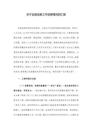 关于全县巡察工作进展情况的汇报.docx