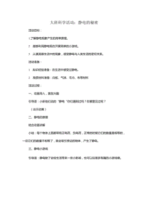幼儿园大班科学《静电的秘密》微教案.docx