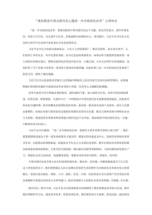 2024紧扣推进中国式现代化主题进一步全面深化改革心得体会2.docx
