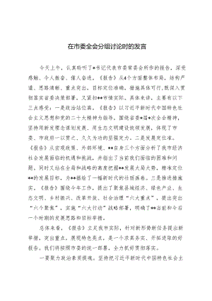2024年在市委全会分组讨论时的发言.docx