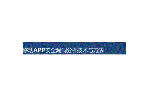2024移动APP安全漏洞分析技术与方法.docx