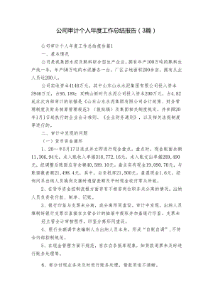 公司审计个人年度工作总结报告（3篇）.docx