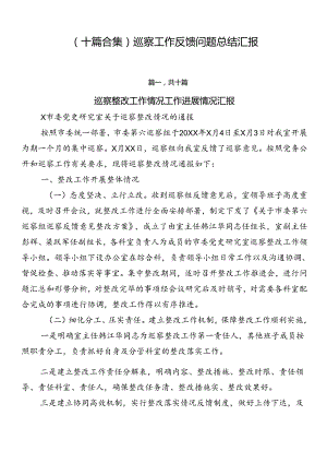 （十篇合集）巡察工作反馈问题总结汇报.docx