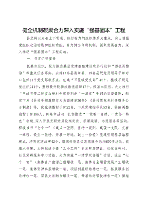 经验做法：健全机制 凝聚合力 深入实施“强基固本”工程.docx