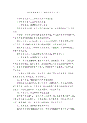 小学财务年度个人工作总结报告（3篇）.docx