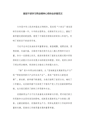 基层干部学习两会精神心得体会多篇范文.docx