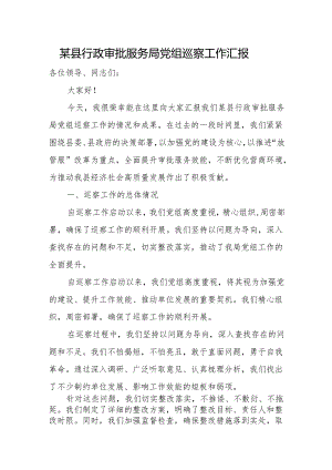 某县行政审批服务局党组巡察工作汇报.docx