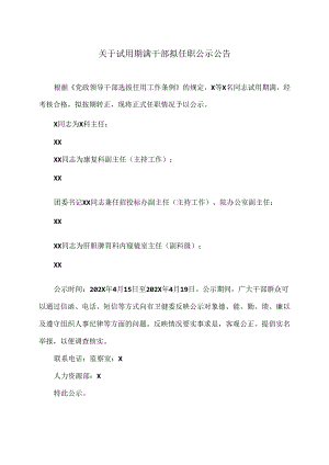XX市中医医院关于试用期满干部拟任职公示公告（2024年）.docx