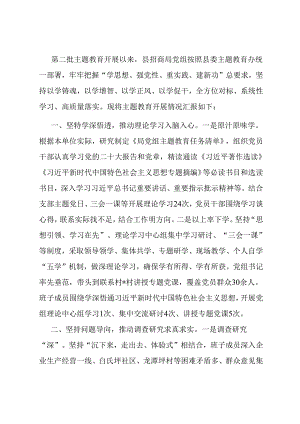 县招商局主题教育开展情况总结 .docx
