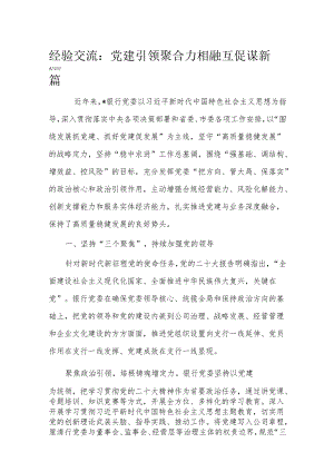 经验交流： 党建引领聚合力 相融互促谋新篇.docx