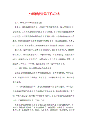 上半年稽查局工作总结.docx