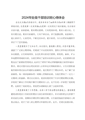 2024年处级干部培训班心得体会.docx