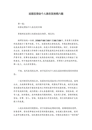 巡察反馈会个人表态发言稿六篇.docx