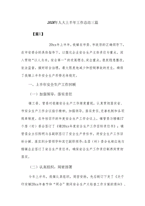 202x年人大上半年工作总结三篇.docx